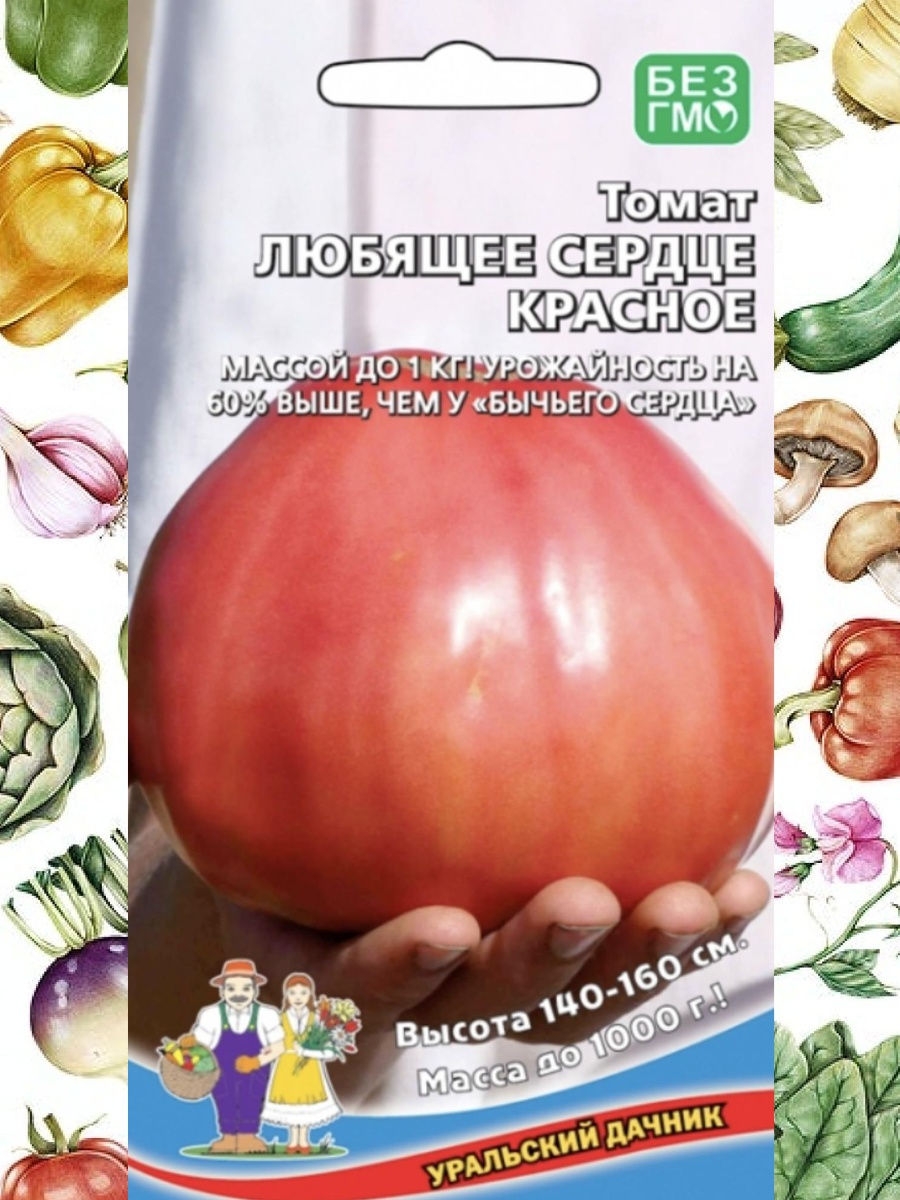 Помидоры любимые описание сорта. Томат Бычье сердце Уральский Дачник. Томат любимый праздник. Томат любящее сердце. Томат любящее сердце красное.