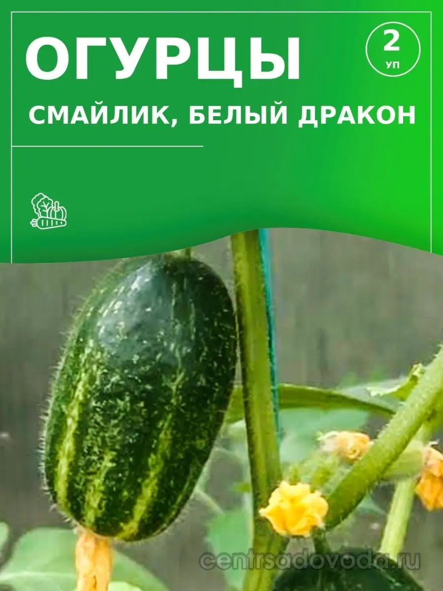 Семена / Огурец Смайлик, Белый Дракон Агрофирма Поиск 21000547 купить за  164 ₽ в интернет-магазине Wildberries