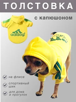 Толстовка для собак мелких и средних пород куртка FluffyLand 21011028 купить за 372 ₽ в интернет‑магазине Wildberries