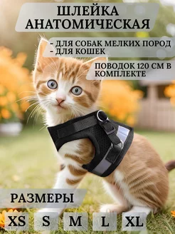 Шлейка для собак мелких пород кошек с поводком Mirestra 21063143 купить за 403 ₽ в интернет-магазине Wildberries