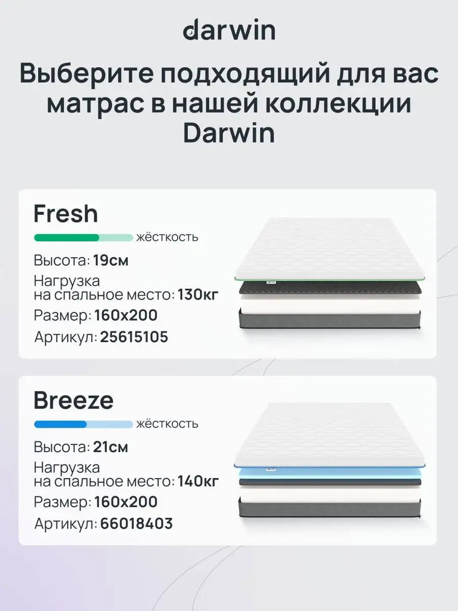 Ортопедический матрас Base 160х200 см беспружинный Darwin 21066660 купить  за 11 542 ₽ в интернет-магазине Wildberries