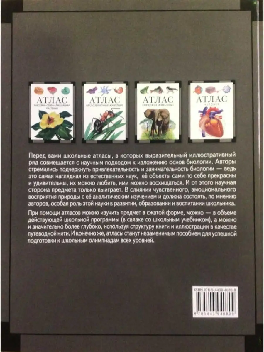 Бактерии, грибы, лишайники, растения: атлас. 3-е изд. МЦНМО 21121273 купить  в интернет-магазине Wildberries