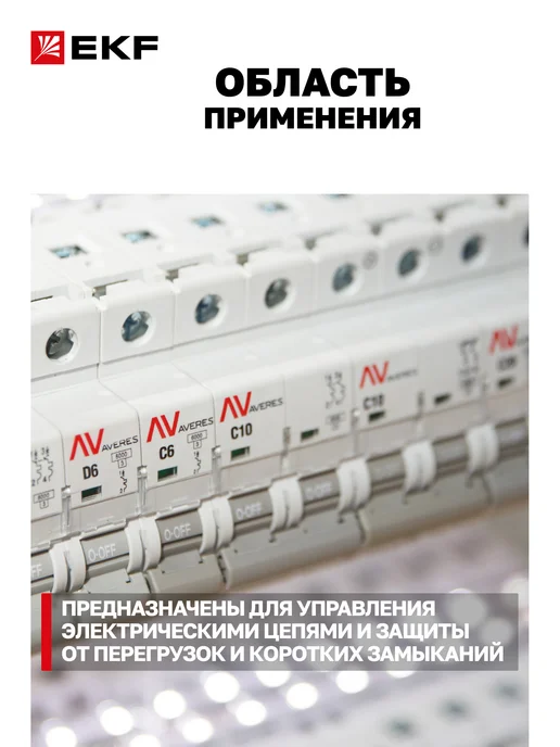 EKF Автоматический выключатель 6A двухполюсный, серый, фото 2