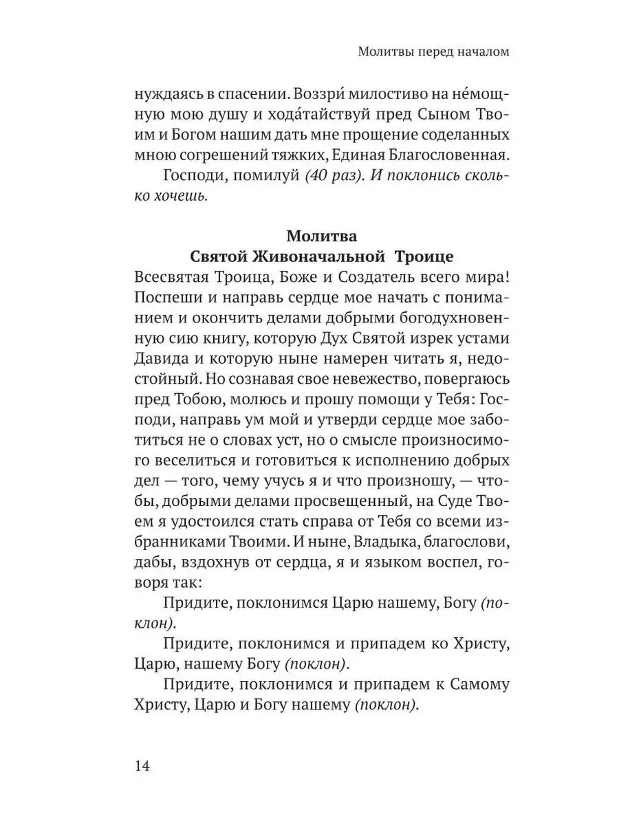 Псалтирь в русском переводе иеромонаха Амвросия (Тимрота) Никея 21263551  купить в интернет-магазине Wildberries