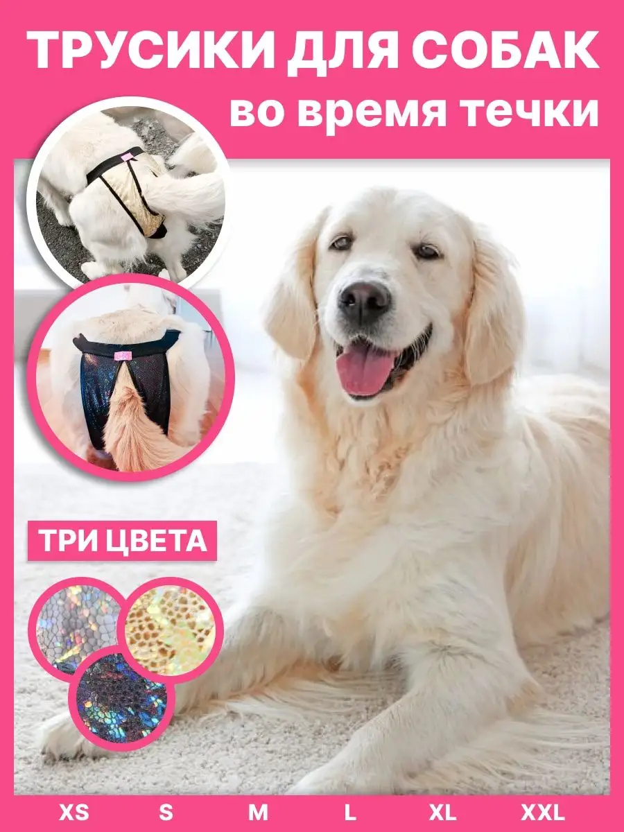 Трусы для собак во время течки памперсы DOG THINGS 21268986 купить за 555 ₽  в интернет-магазине Wildberries