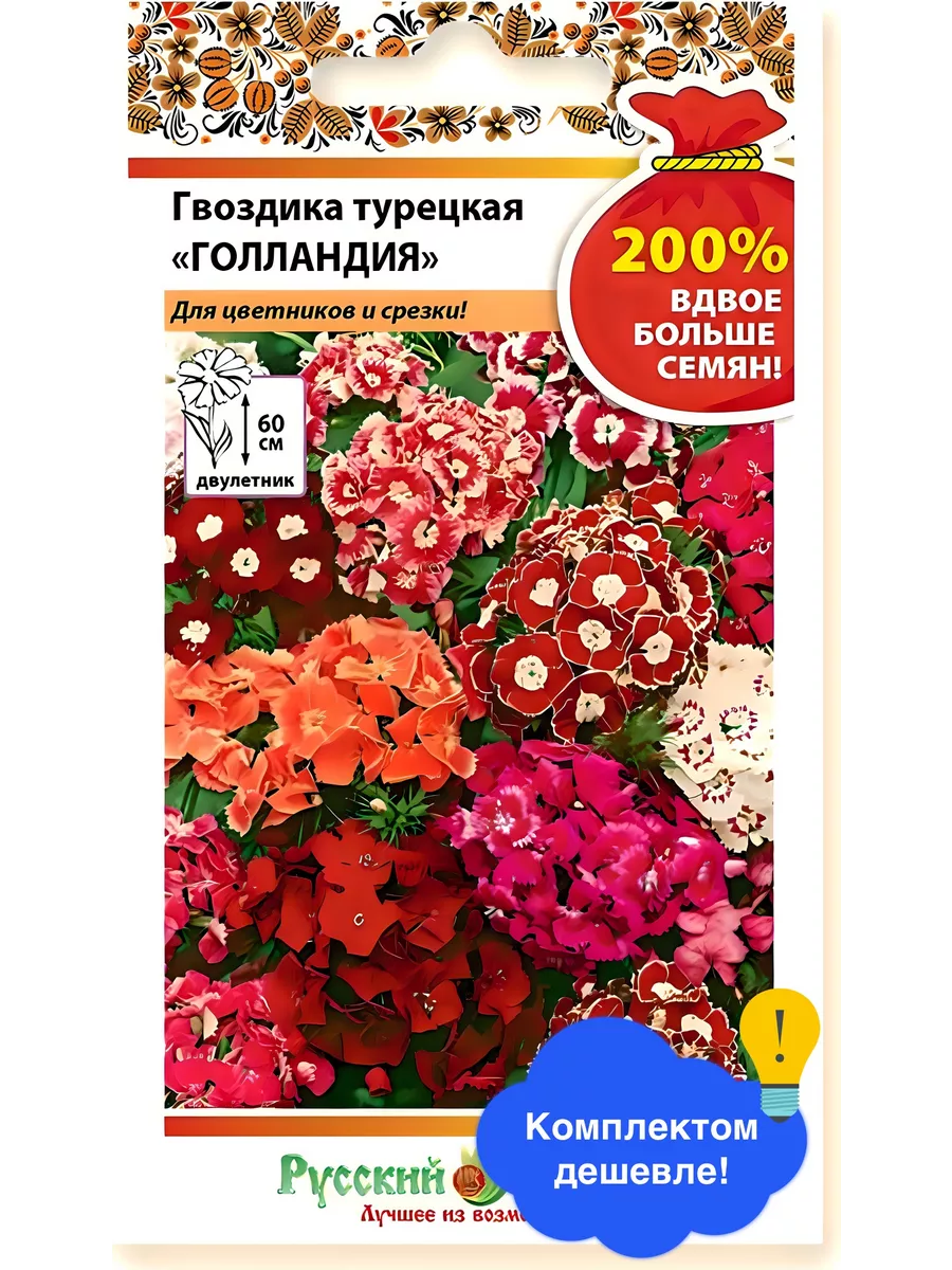 Цветы Гвоздика турецкая Голландия
