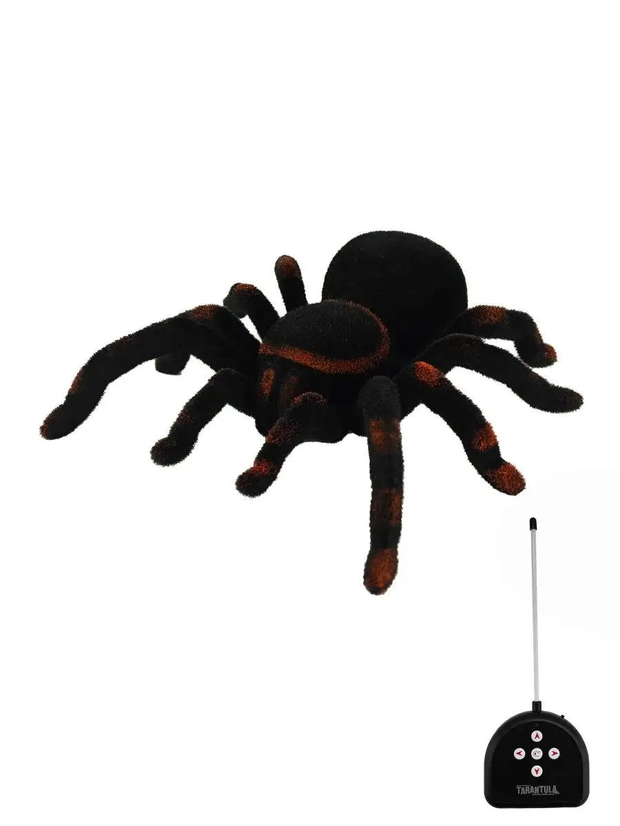 Робот паук Tarantula на пульте Cute Sunlight 21333900 купить за 1 760 ₽ в  интернет-магазине Wildberries