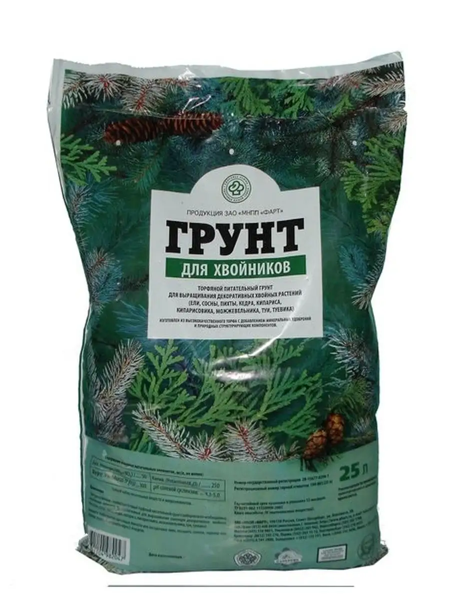 Туя горшок 2л. Грунт для туи в горшке. Туя даника в кашпо. Туя западная даника. Туя смарагд в горшке на улице.