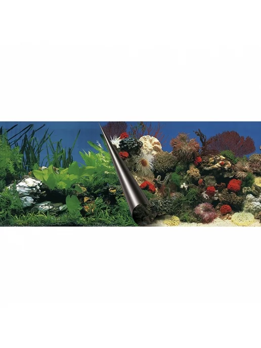 EBI Фон для аквариумов "Stone & Coral", 80х40см, зеленый, фото 2