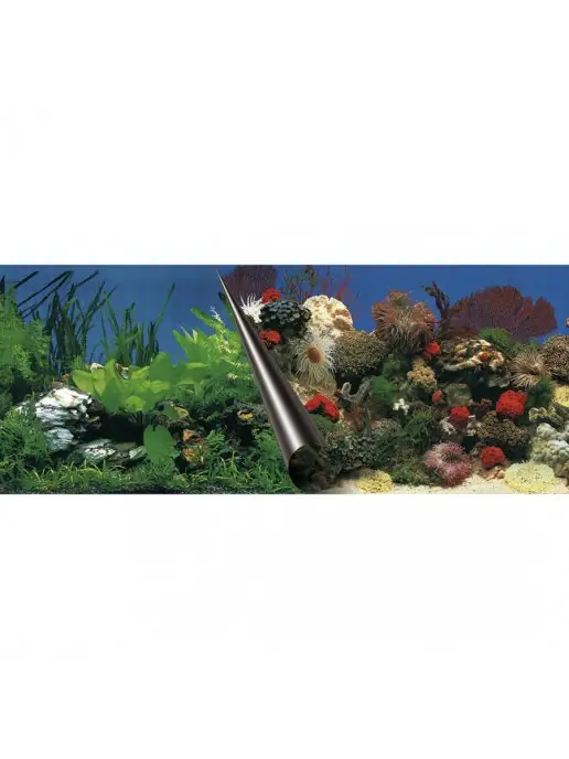 EBI Фон для аквариумов "Stone & Coral", 120х50см, вариант