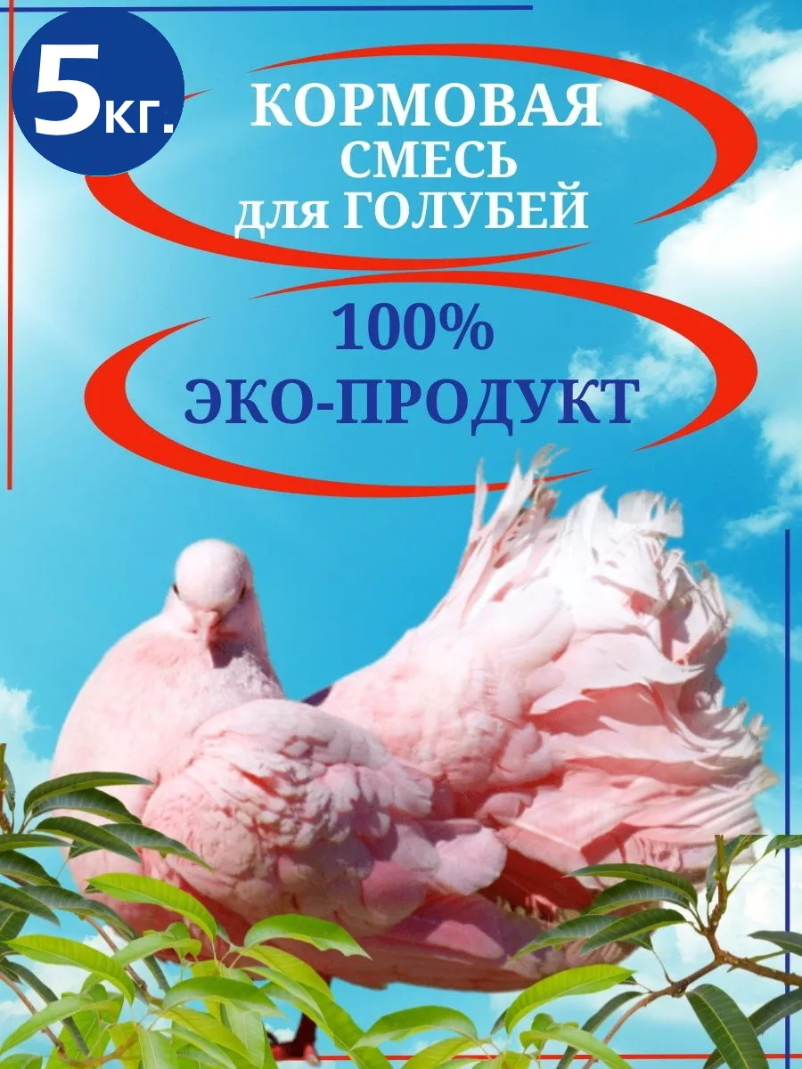 Корм для голубей весна-лето 5 кг. Персонарум 21467390 купить за 456 ₽ в  интернет-магазине Wildberries