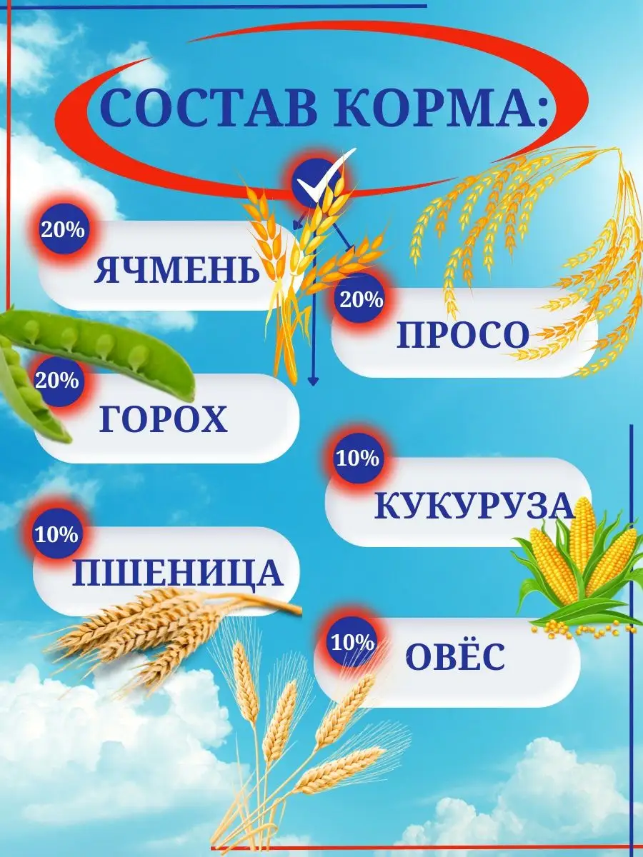 Корм для голубей весна-лето 5 кг. Персонарум 21467390 купить за 456 ₽ в  интернет-магазине Wildberries