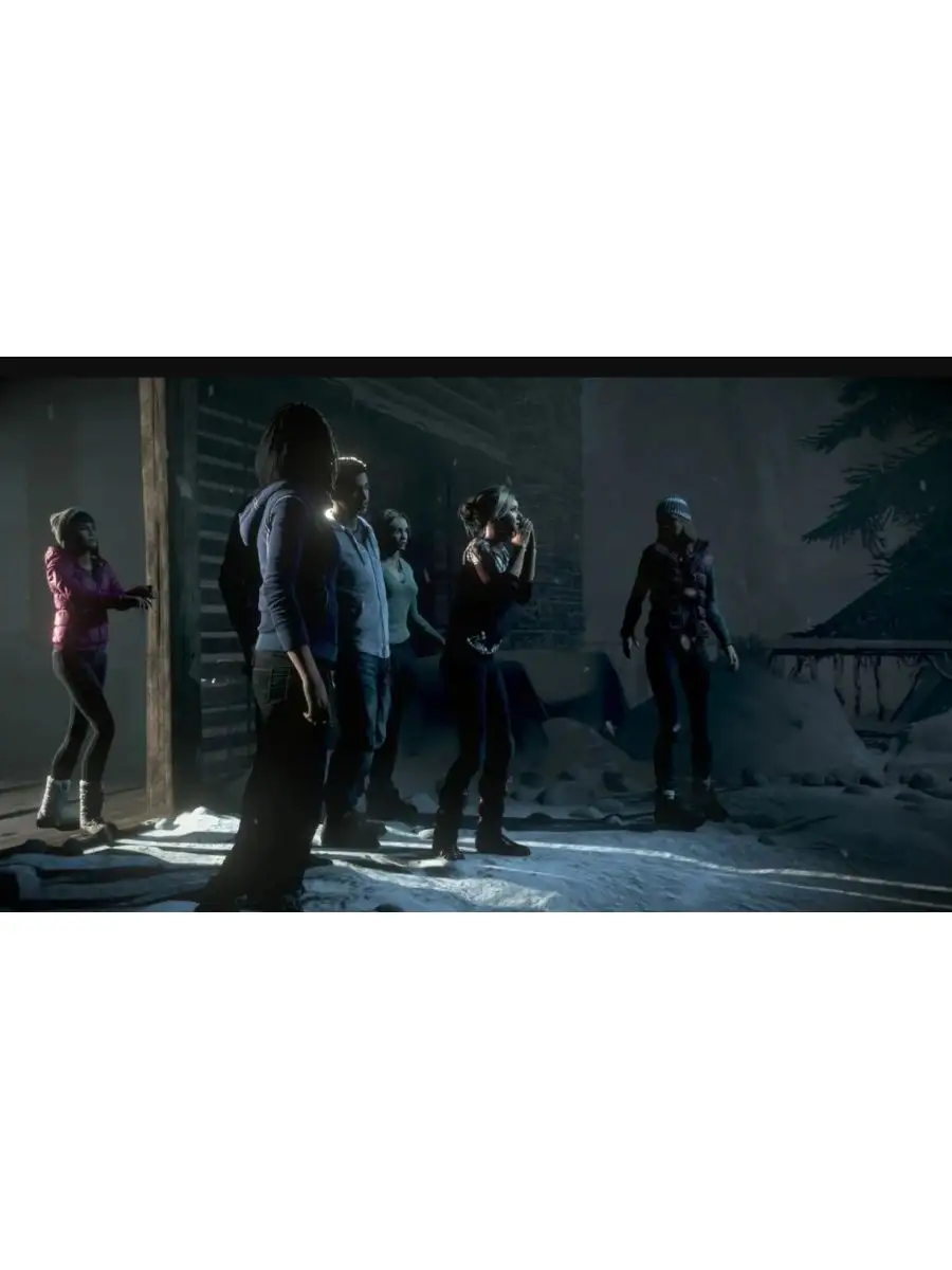 PS4 Дожить до Рассвета (Until Dawn) Хиты Playstation Игра для PS4 21532090  купить за 1 974 ₽ в интернет-магазине Wildberries