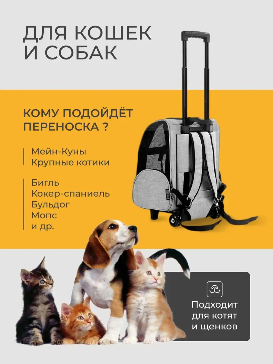 Сумка переноска на колесах для кошек и собак 41х45х26 см. PetLeon 21575132  купить за 6 634 ₽ в интернет-магазине Wildberries