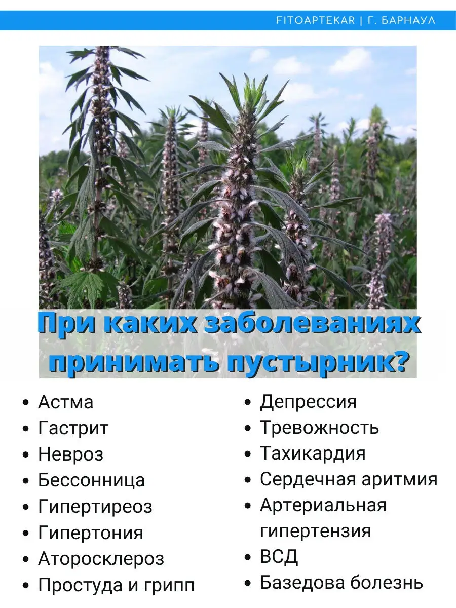 Сок пустырника успокоительное фито средство, 250 мл ФИТО-АПТЕКАРЬ 21602135  купить за 599 ₽ в интернет-магазине Wildberries