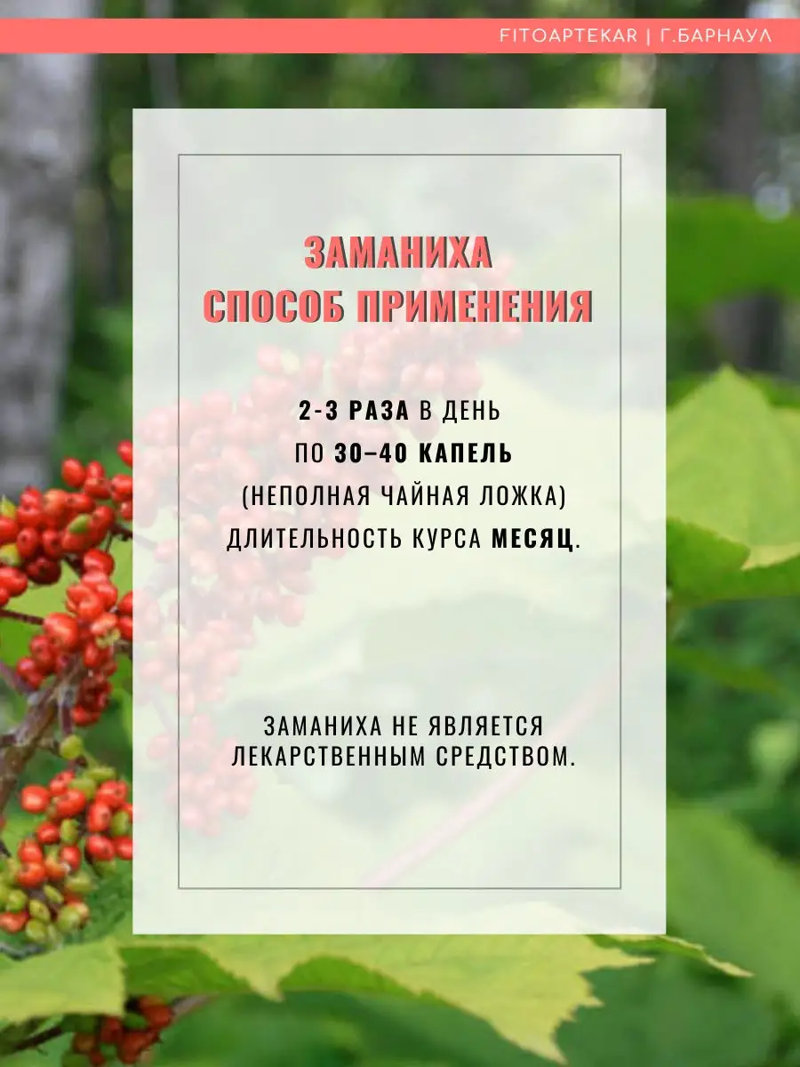 Настойка заманихи, 100 мл ФИТО-АПТЕКАРЬ 21602221 купить в интернет-магазине  Wildberries