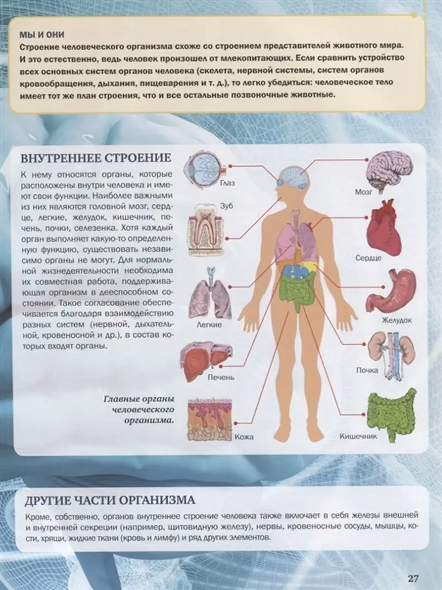 Человек Издательство АСТ 21603507 купить за 1 105 ₽ в интернет-магазине  Wildberries