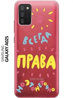 Чехол на Galaxy A02s Samsung 21626175 купить за 320 ₽ в интернет-магазине Wildberries