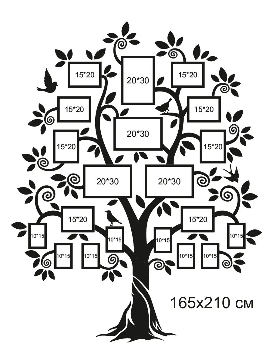 Как составить генеалогическое древо семьи — шаблоны и советы