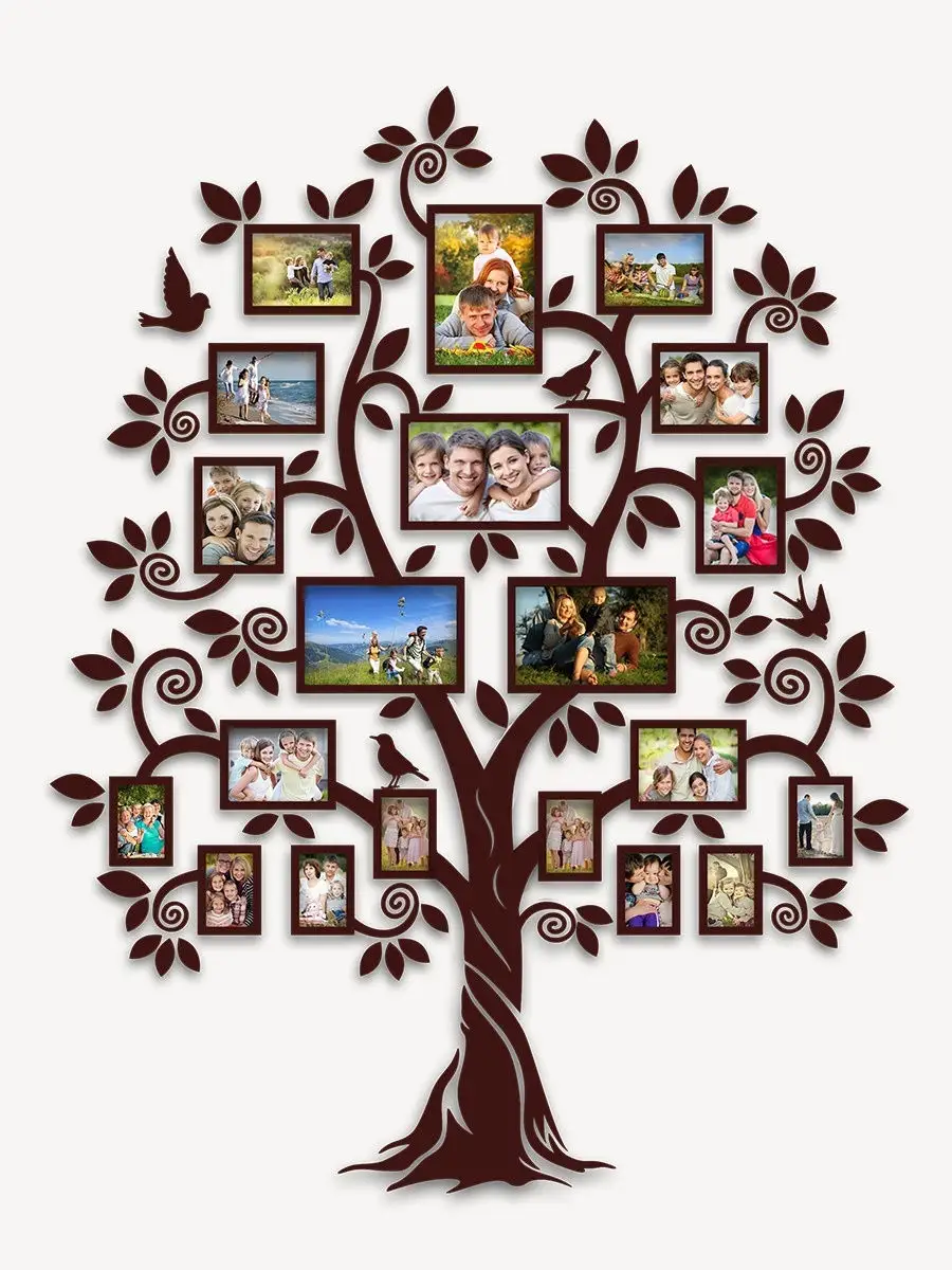 Генеалогическое древо семьи. Родословная - фотоотчёты.
