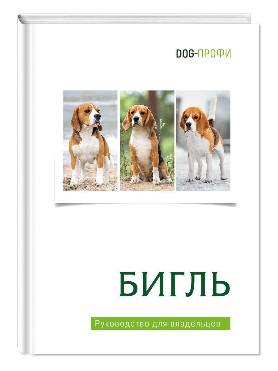 Книга про собак породы Бигль. Книга про бигля DOG-ПРОФИ 21648230 купить за  1 066 ₽ в интернет-магазине Wildberries