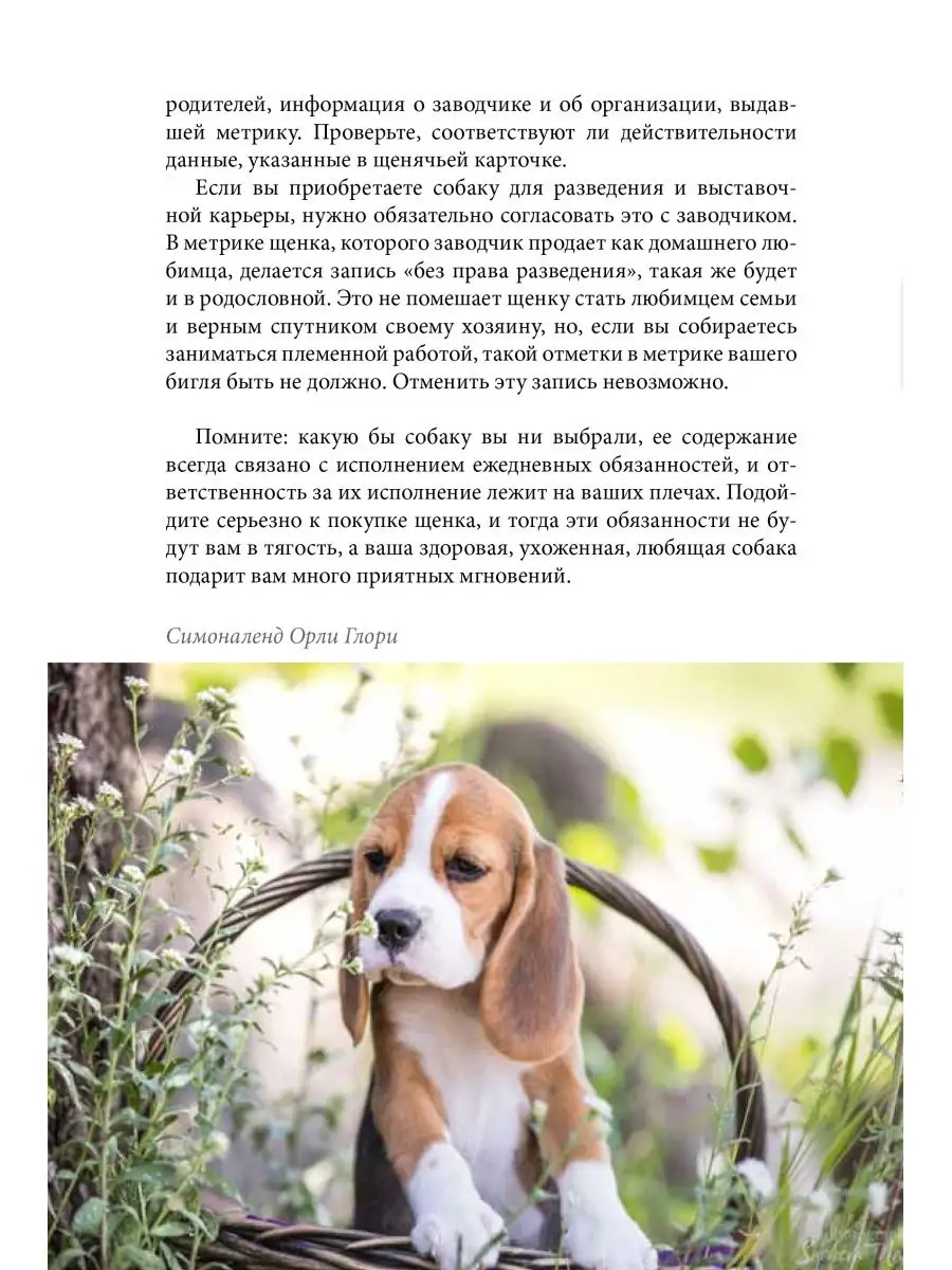 Книга про собак породы Бигль. Книга про бигля DOG-ПРОФИ 21648230 купить за  1 066 ₽ в интернет-магазине Wildberries