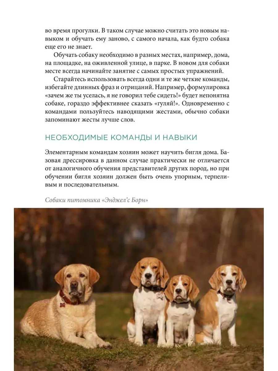 Книга про собак породы Бигль. Книга про бигля DOG-ПРОФИ 21648230 купить за  1 066 ₽ в интернет-магазине Wildberries