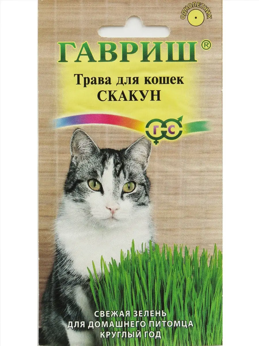 Трава для кошек Скакун, смесь 10 г ДАЧА ОНЛАЙН 21869494 купить за 91 ₽ в  интернет-магазине Wildberries