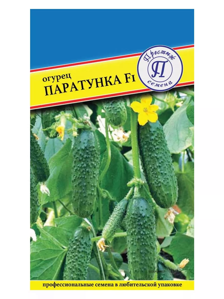 Похожие