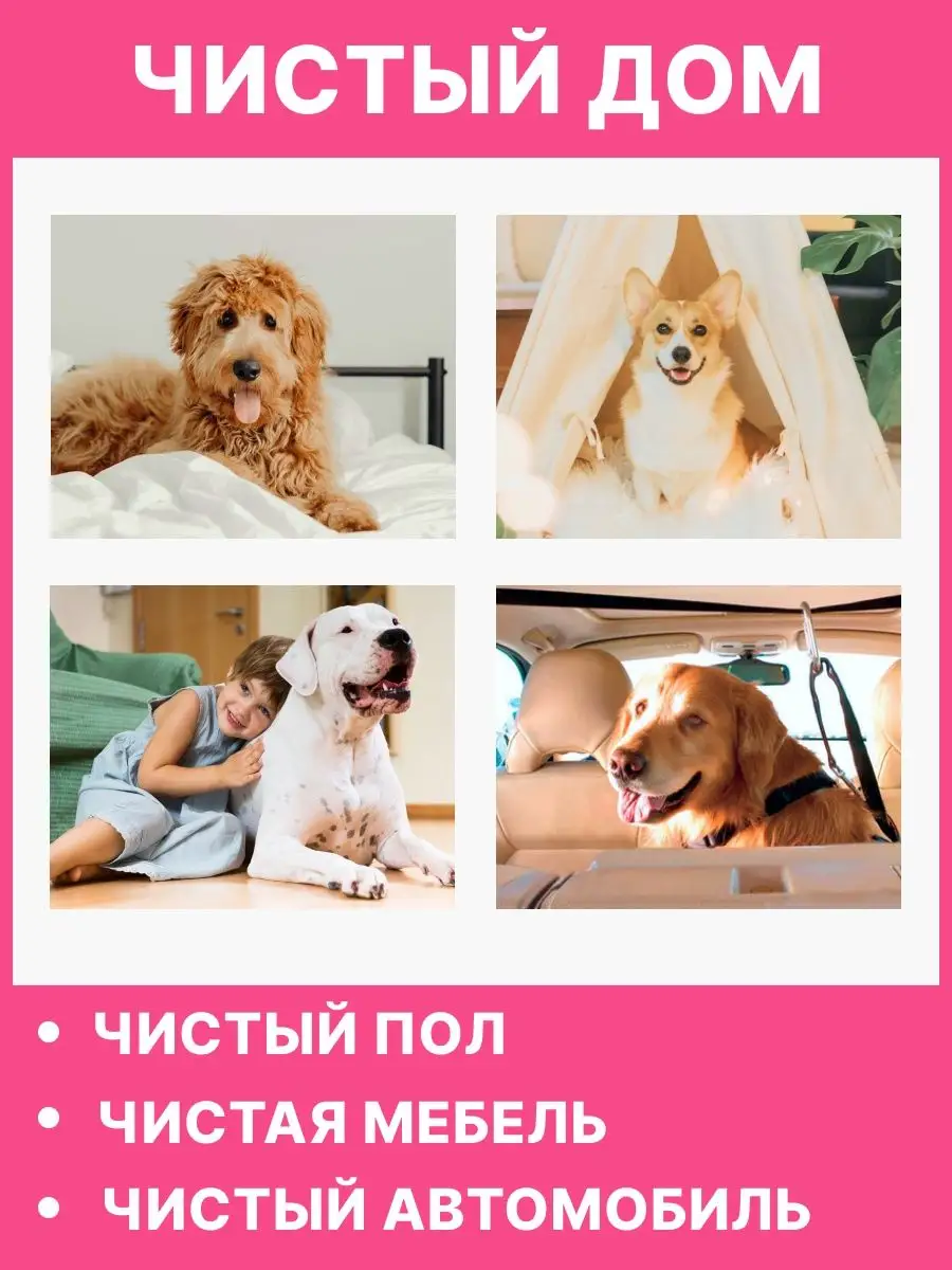 Трусы для собак во время течки памперсы DOG THINGS 22117061 купить за 549 ₽  в интернет-магазине Wildberries