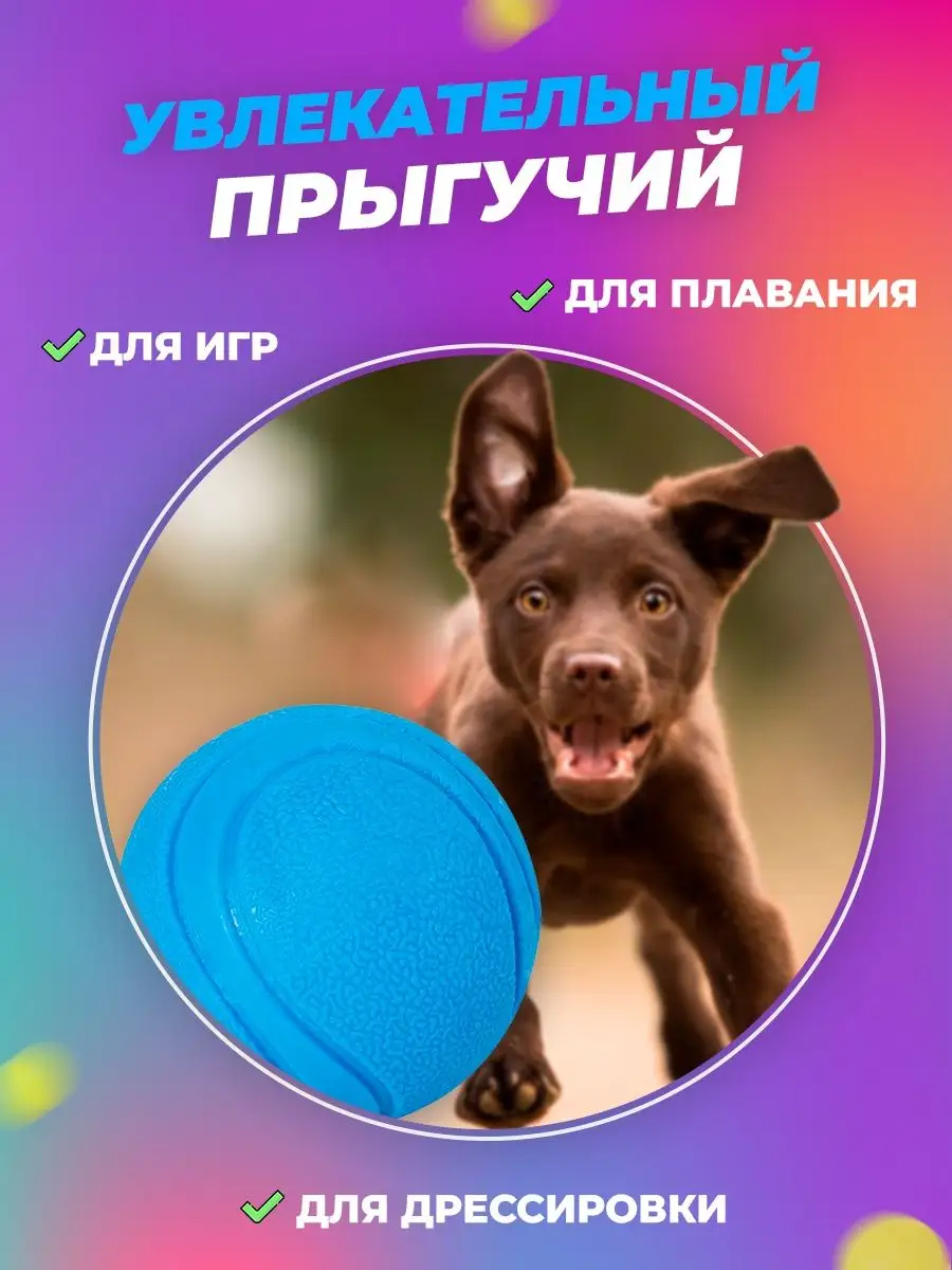 Игрушка мяч для собак любых пород woof 22226531 купить в интернет-магазине  Wildberries