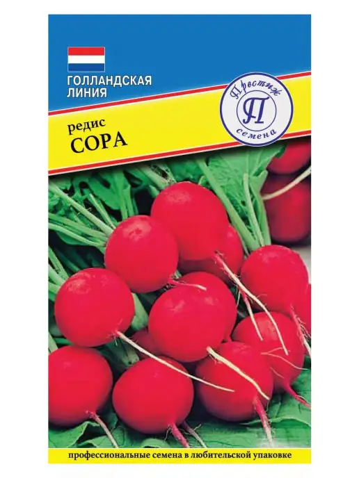 Менің әлемдік секс Димитровтағы ұсыныстар