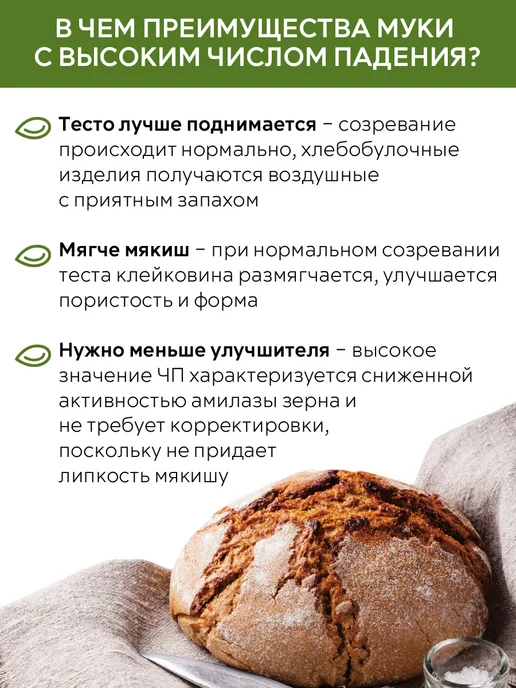 Образ жизни Алтая Мука ржаная цельнозерновая алтайская, 5 кг, 5 кг, фото 2