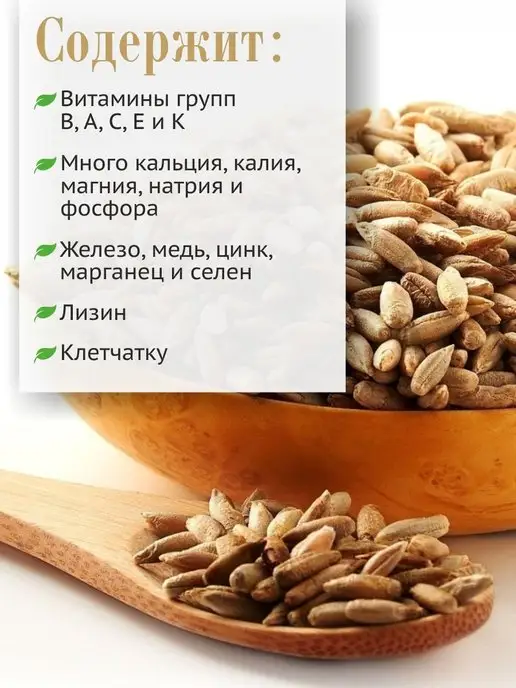 Образ жизни Алтая Мука ржаная цельнозерновая алтайская, 5 кг, 5 кг, фото 4