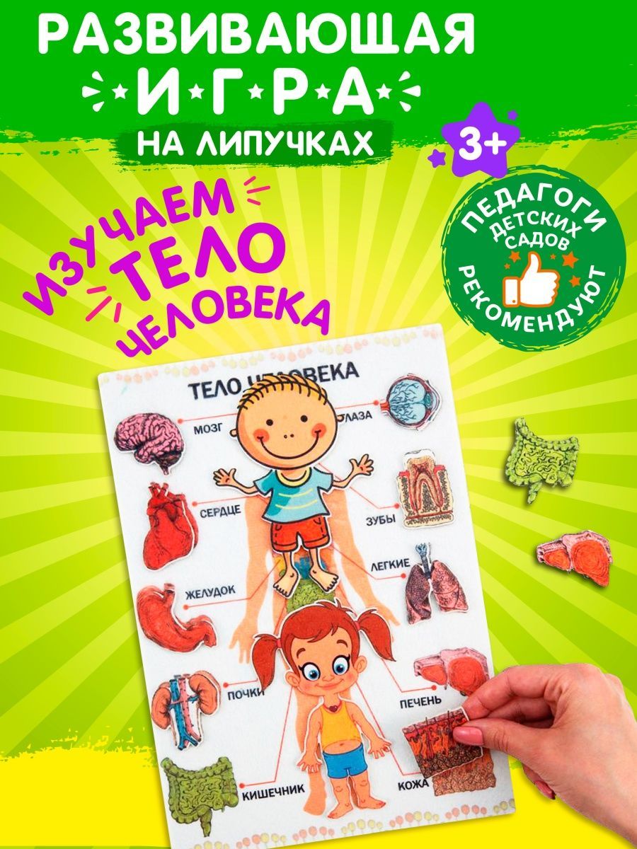 Липучки на тело. Игра на липучках тело человека для детей. Дидактическая игра части тела на липучках. Игра на липучках мое тело. Липучки на тело сердце.