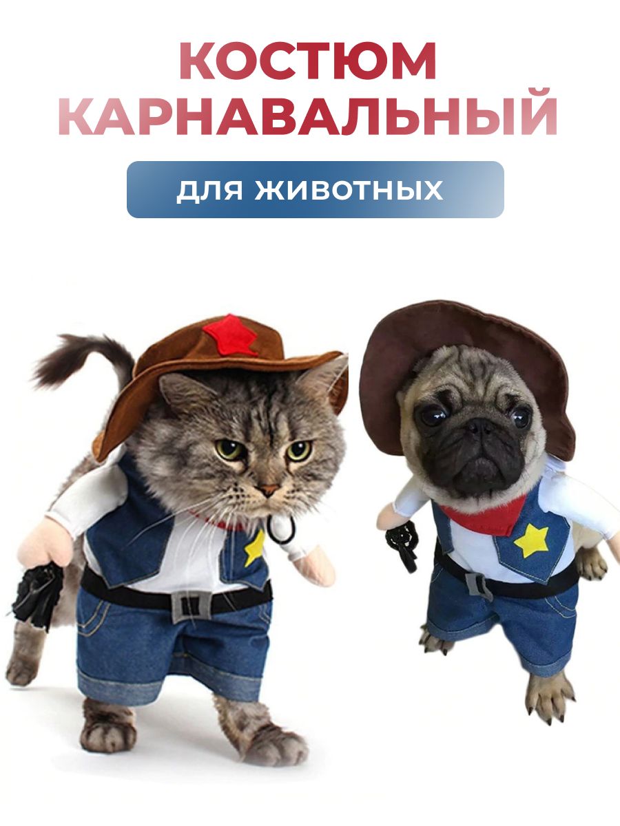 Одежда для собак своими руками Dress for dogs