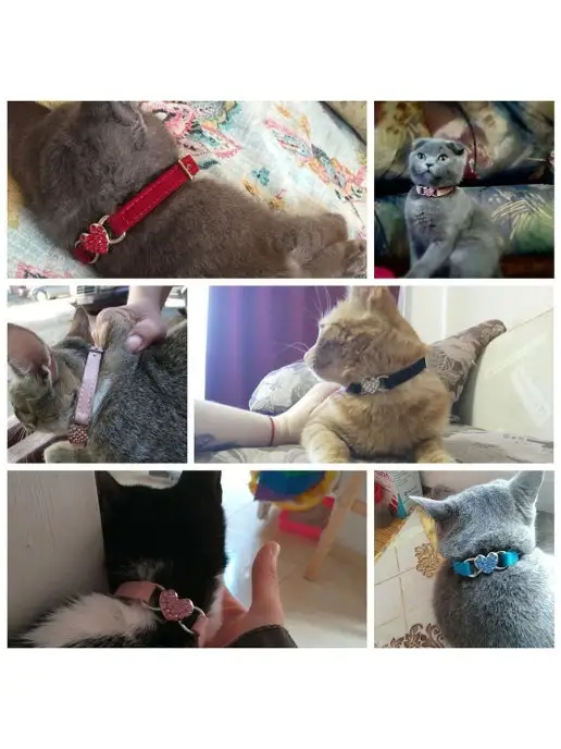 PETSROOM Ошейник для собак и кошек со стразами, черный, фото 2