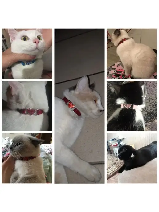 PETSROOM Ошейник для собак и кошек со стразами, черный, фото 4