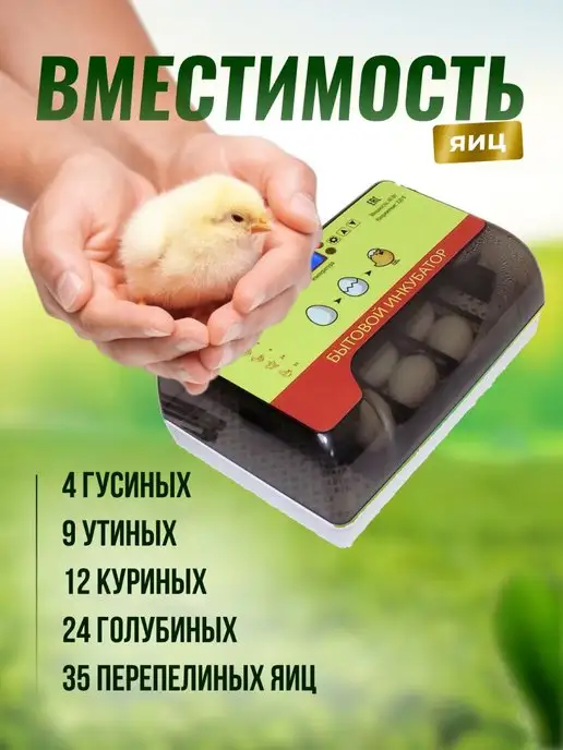 Sititek Инкубатор для яиц автоматический с терморегулятором №12, вариант, фото 3