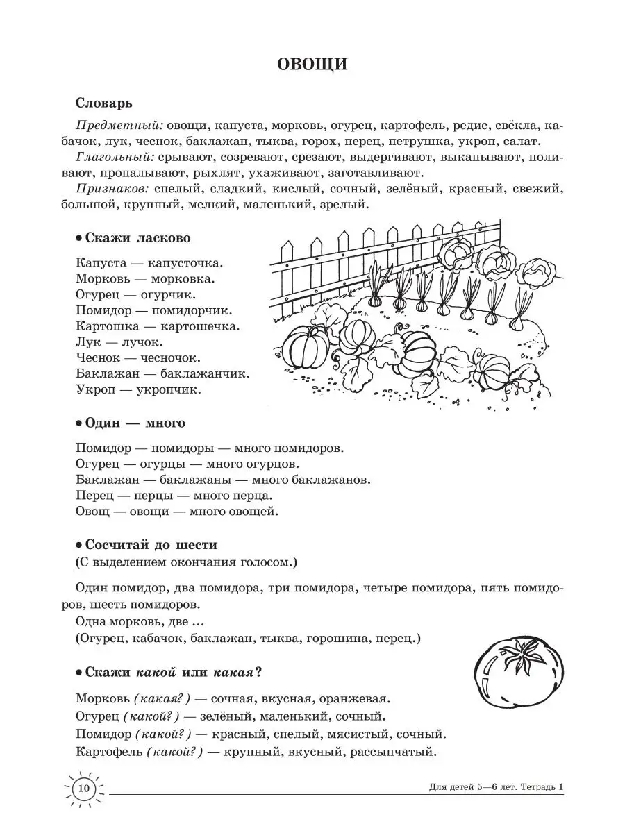 Домашние логопедические тетради для детей Учим слова 5+ ТЦ СФЕРА 22912360  купить в интернет-магазине Wildberries