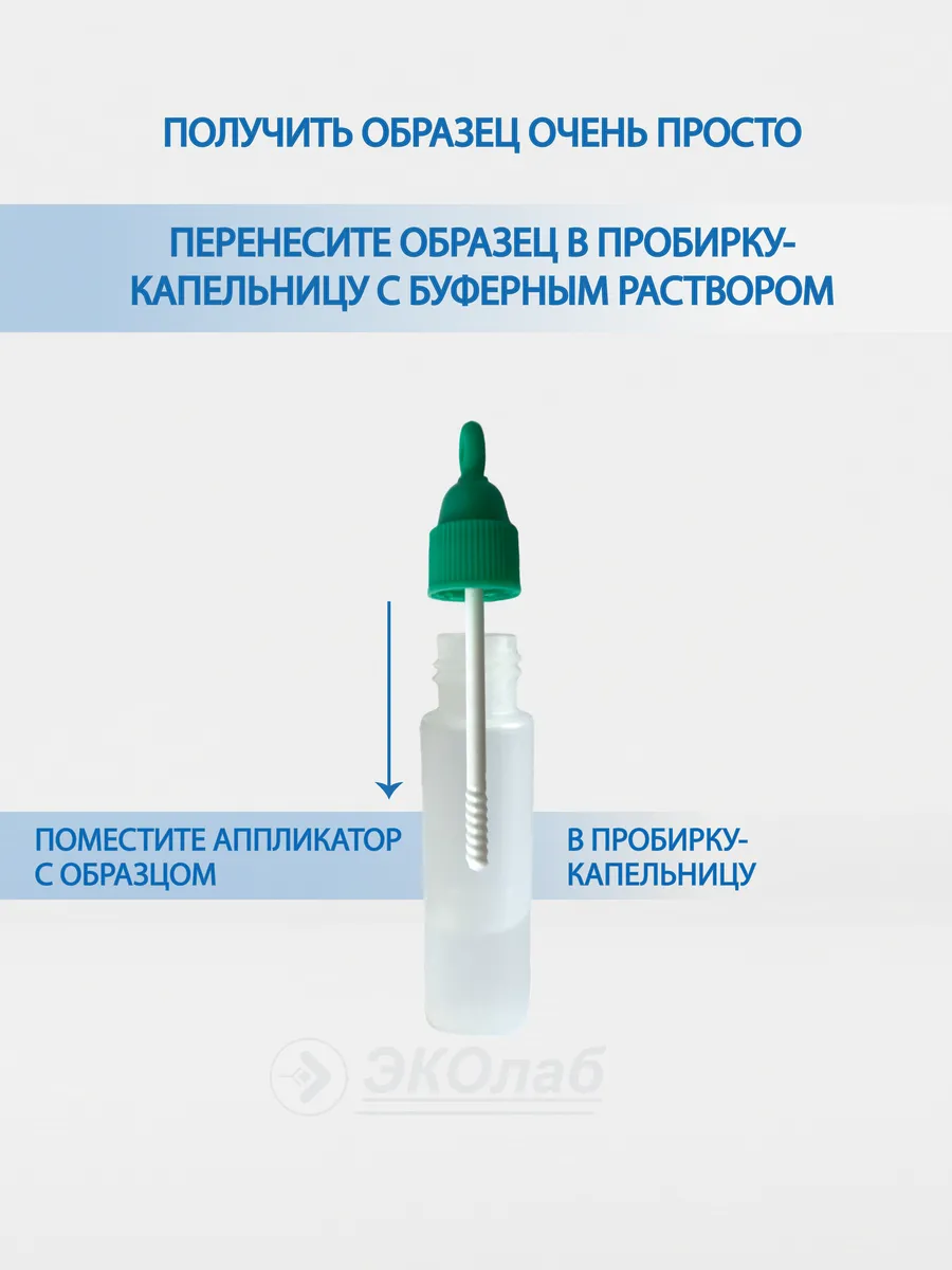 Экспресс-тест на рак кишечника, Скрытая кровь ЭКОлаб 22933935 купить за 209  ₽ в интернет-магазине Wildberries