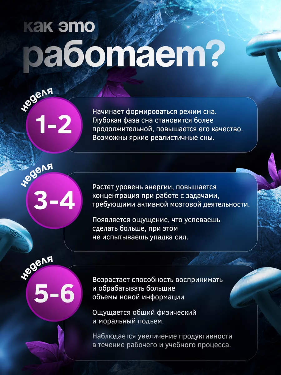 Ежовик гребенчатый в капсулах, ежевик Angel Healthy 22939940 купить за 446  ₽ в интернет-магазине Wildberries