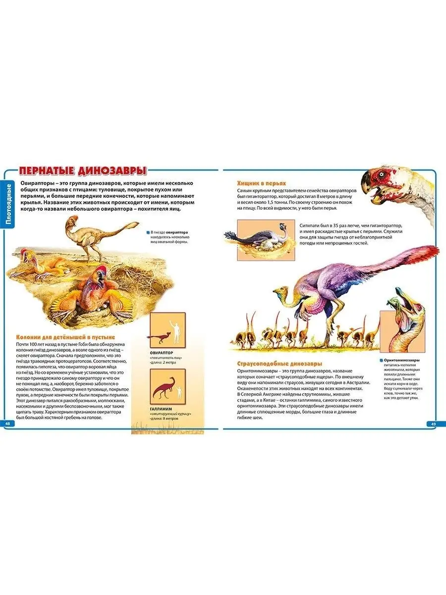 Динозавры. Энциклопедия для маленького почемучки.64 страницы Владис  22946511 купить за 171 ₽ в интернет-магазине Wildberries