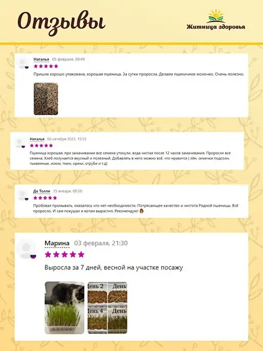 Житница здоровья Пшеница для проращивания 5 кг, 5 кг, фото 6