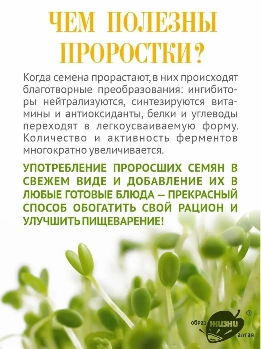 Семена льна темного, лен коричневый для проращивания, 5кг Образ жизни Алтая  23068109 купить за 771 ₽ в интернет-магазине Wildberries