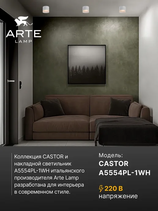 Arte Lamp Точечный накладной светильник CASTOR A5554PL-1WH, белый, фото 2
