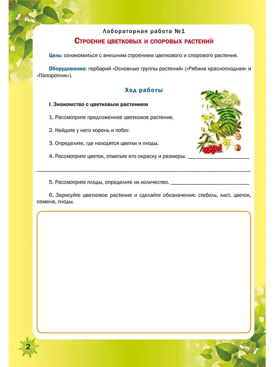 Биология 5-6 классы. Лабораторный практикум. Тетрадь Издательство Планета  23150640 купить за 217 ₽ в интернет-магазине Wildberries