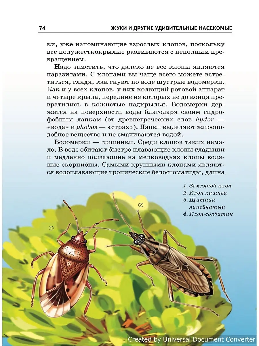 Жуки и другие удивительные насекомые. Детская энциклопедия. Издательство  Тимошка 23150703 купить в интернет-магазине Wildberries