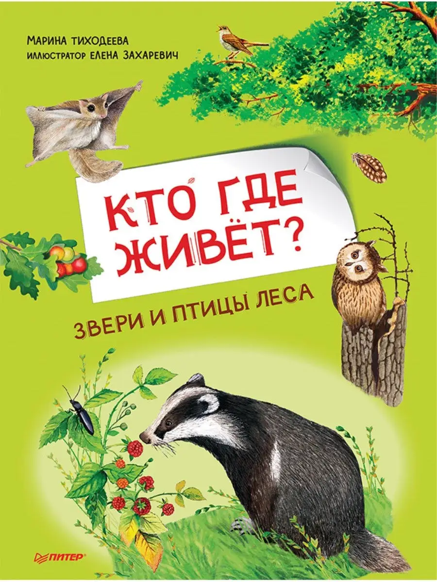 Кто где живёт? Звери и птицы леса ПИТЕР 23454974 купить за 116 ₽ в  интернет-магазине Wildberries