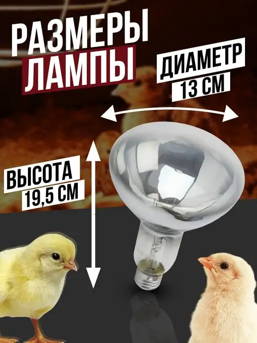 wikiLAB Лампа зеркальная 220-250 R127, для обогрева, для курятника, вариант, фото 2